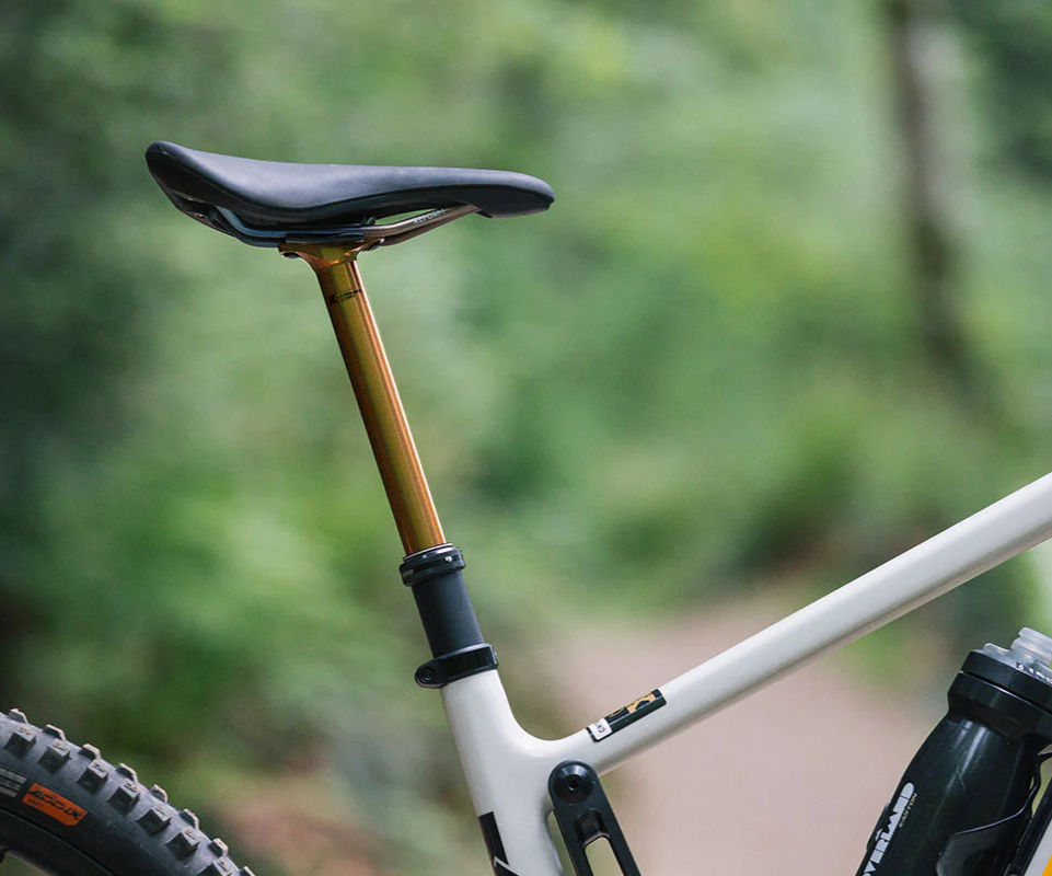 Close-up of a white bicycle with a black seat and gold seatpost on a forest path. Green foliage in the soft-focus background.