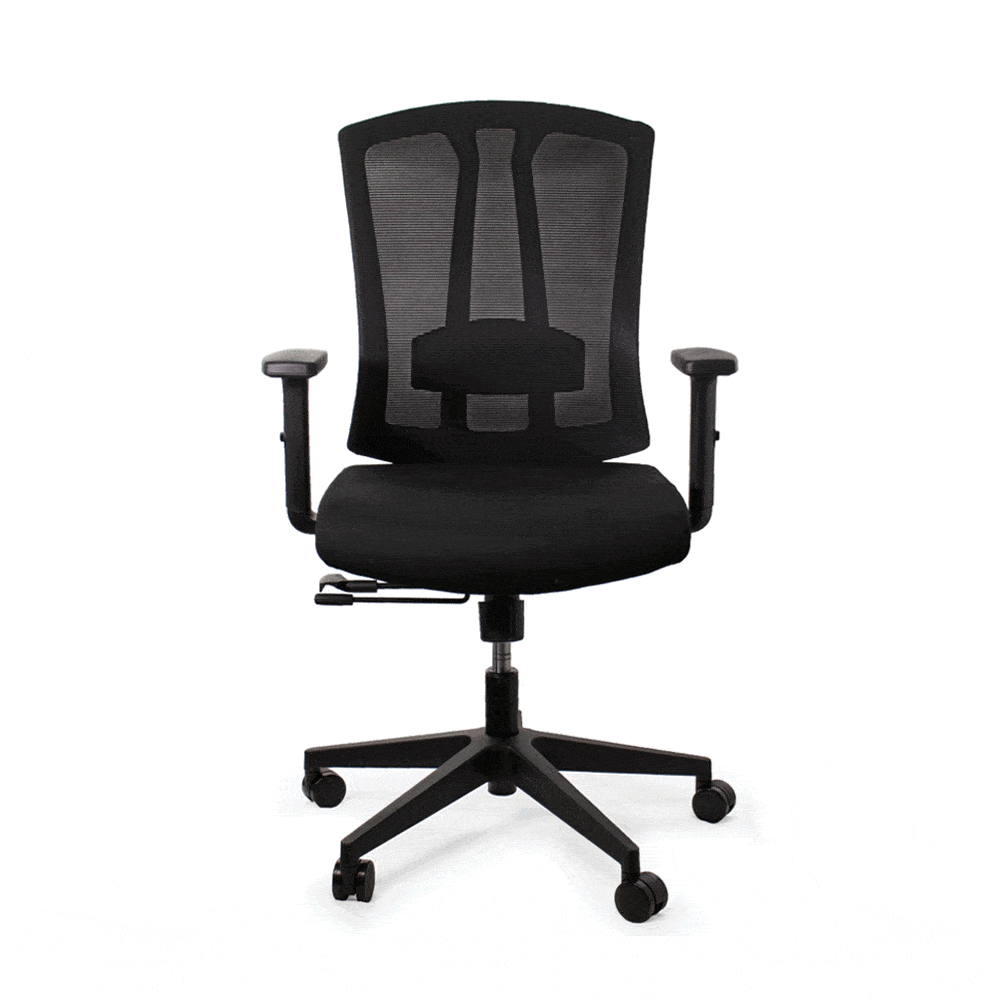 Sunline- Ergo_Classic_Chair (1).gif