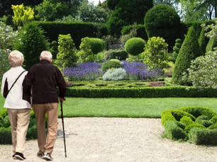 Choosing the Best Suited Aged Care Residence