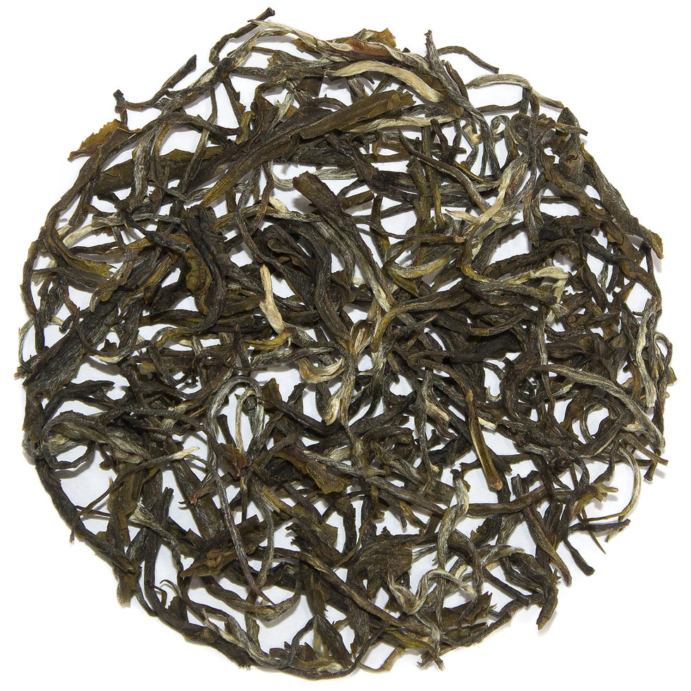 2022 Winter Frost Green