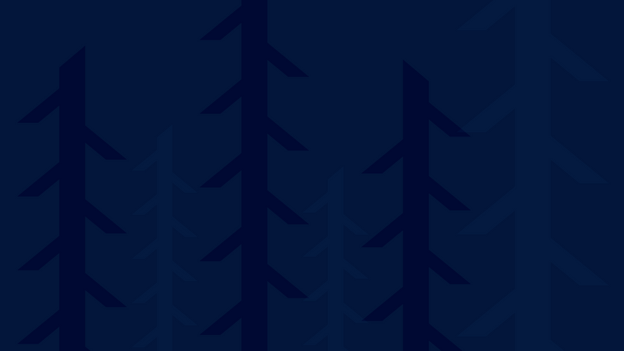 texture.png