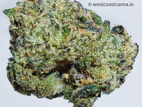 Strain Review: Banana Jelly by THC Design (3.5g Cannabis Flower)