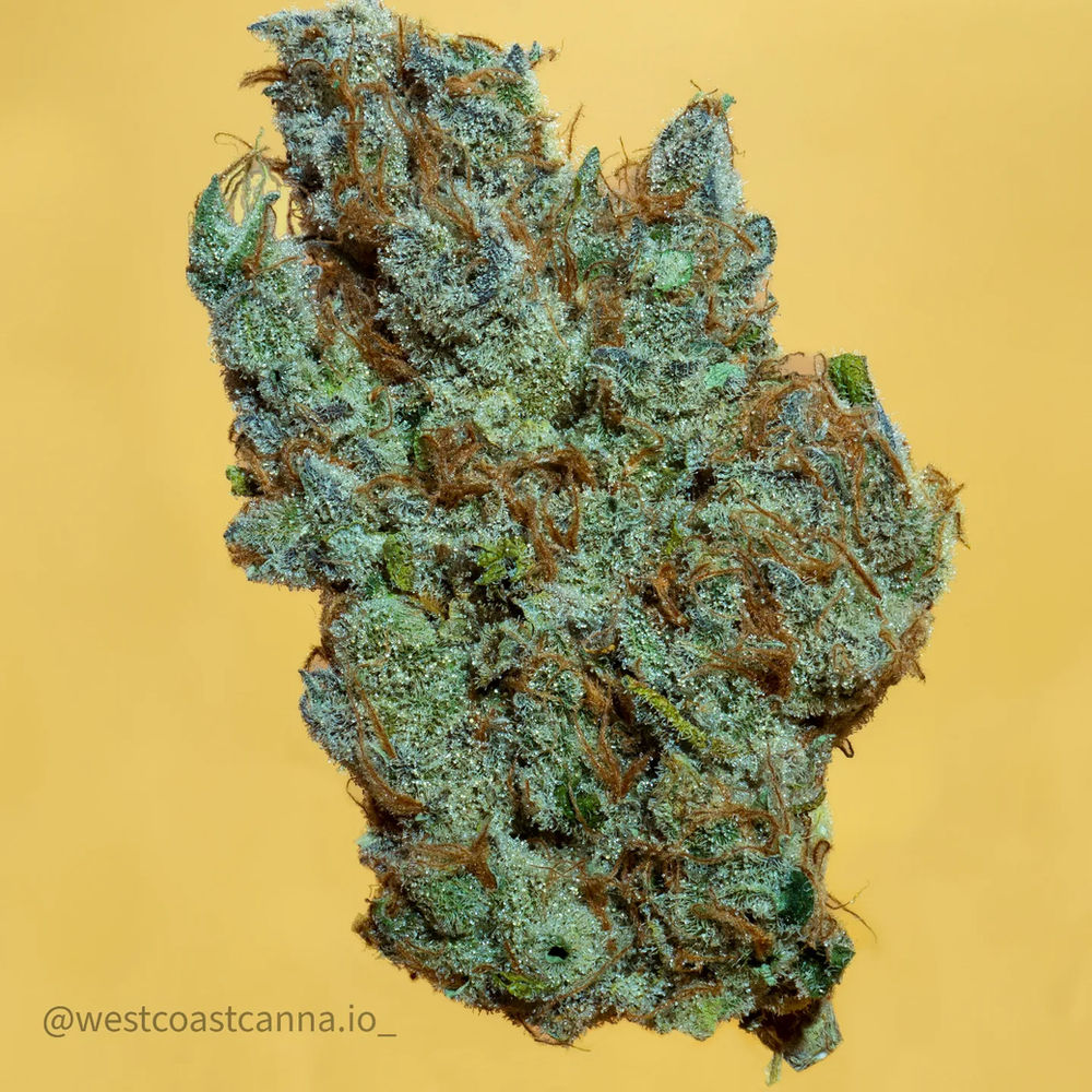 Banana Taffy By Team Elite In Depth Strain Review