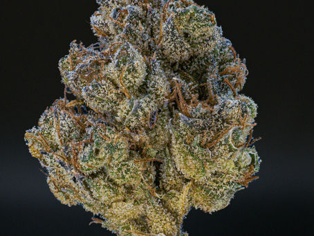 Pearadise by Team Elite Genetics - In-Depth Strain Review - WestCoastCanna
