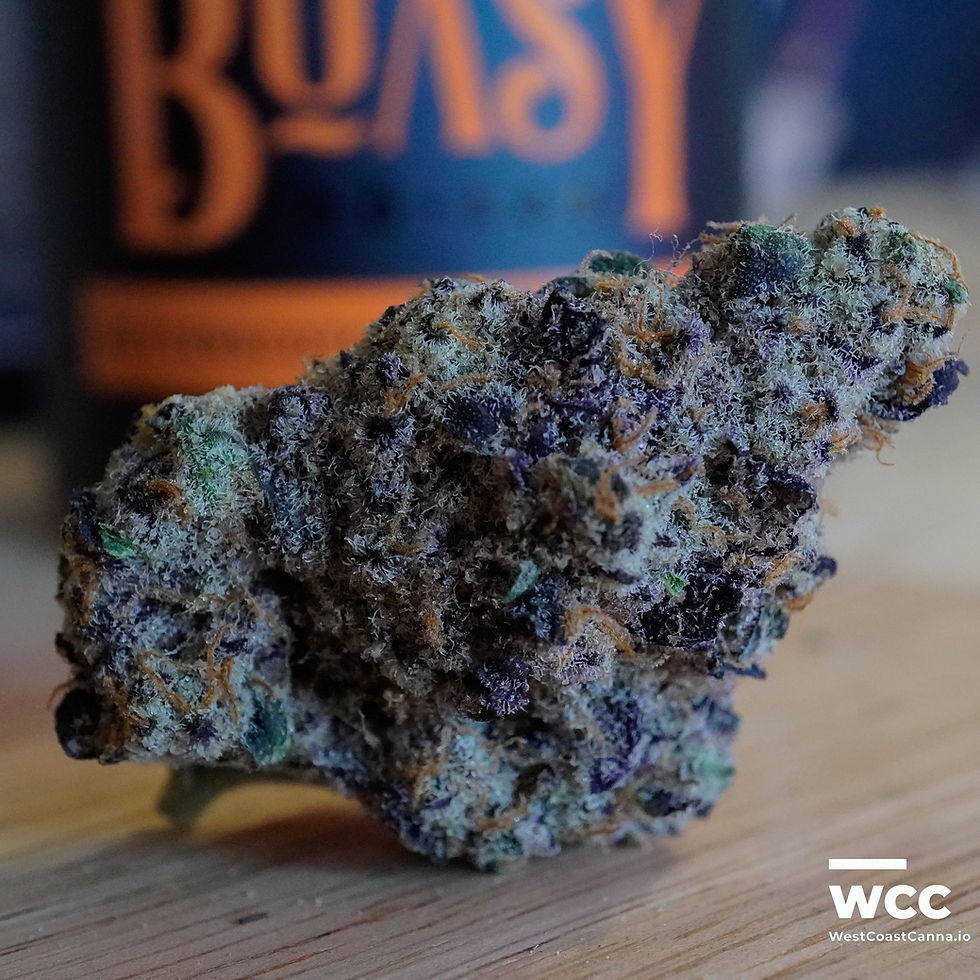 Boasy (Butterscotch) by Blem Strain Review