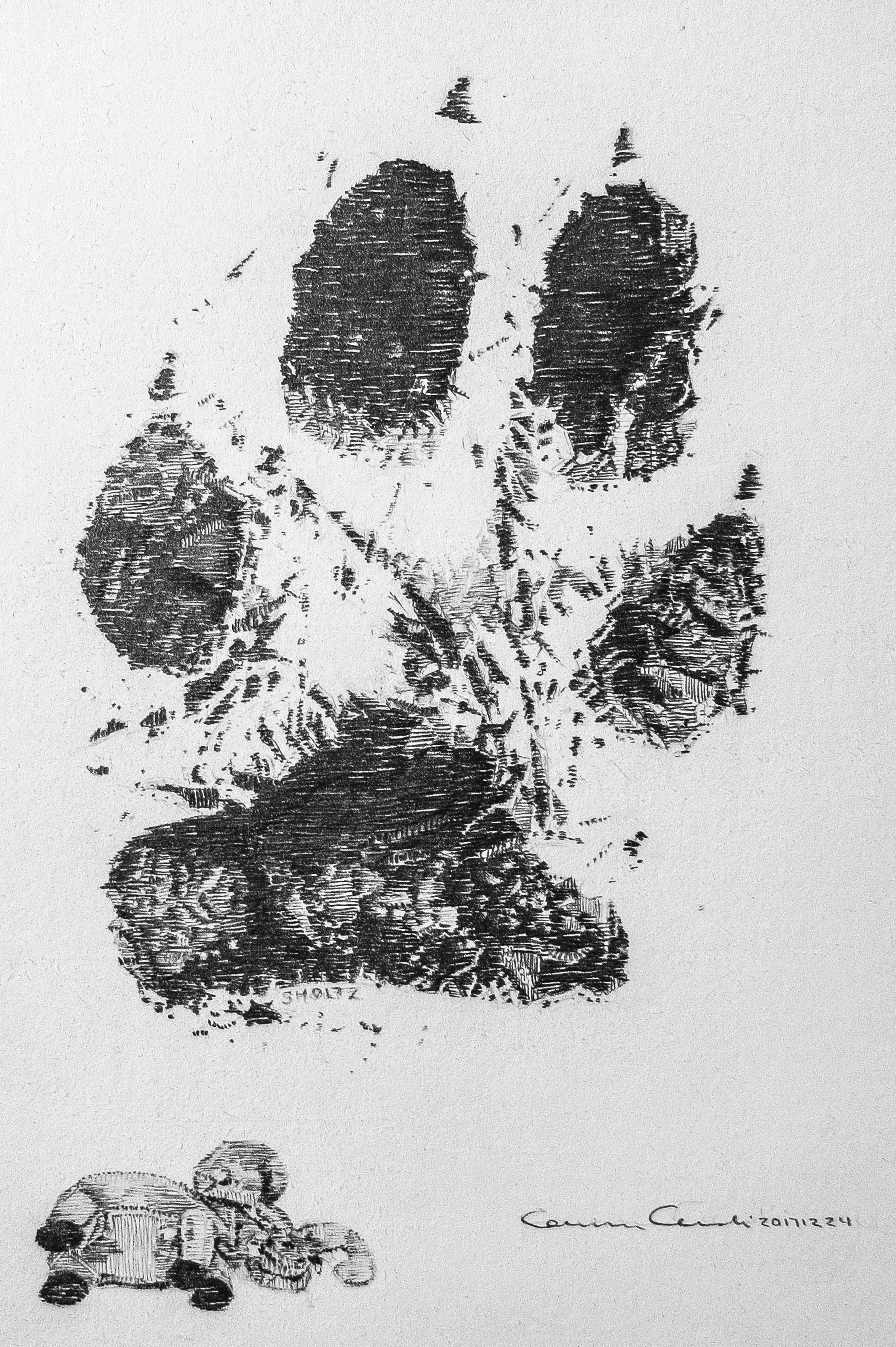 Pet Identity