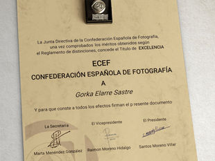 Otorgado el PIN de Plata y el título de Excelencia de la CEF por los méritos obtenidos.