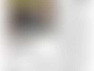 Reportaje Donostiwood en el Diario Vasco II