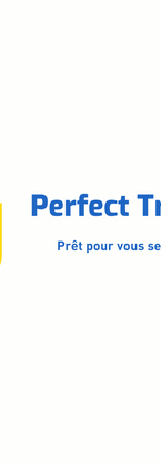 Logo Perfect Travel.PNG