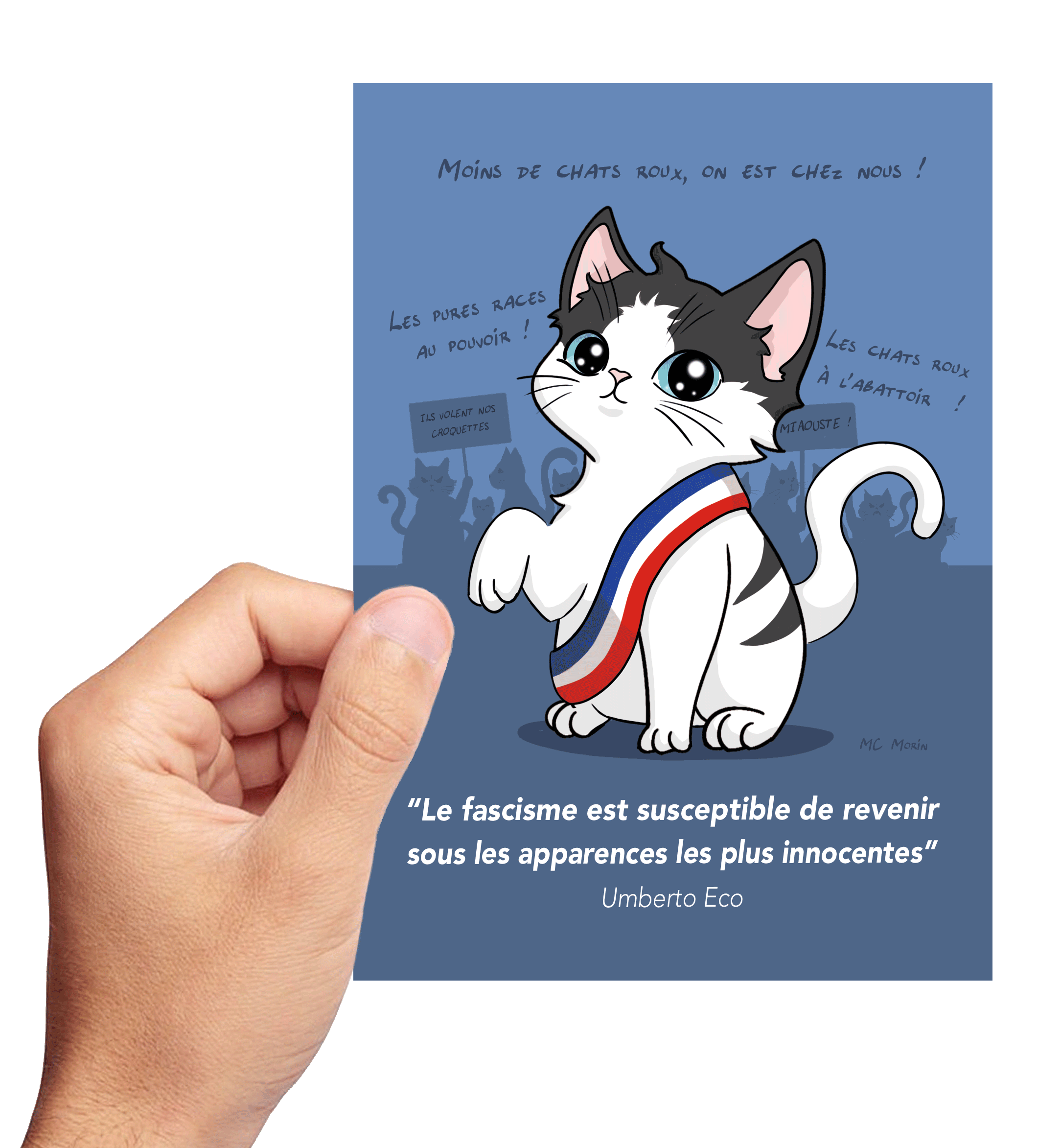 gif chafisme lenticulaire.gif