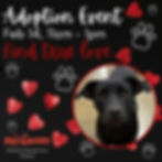 PetSmart Adoption Event