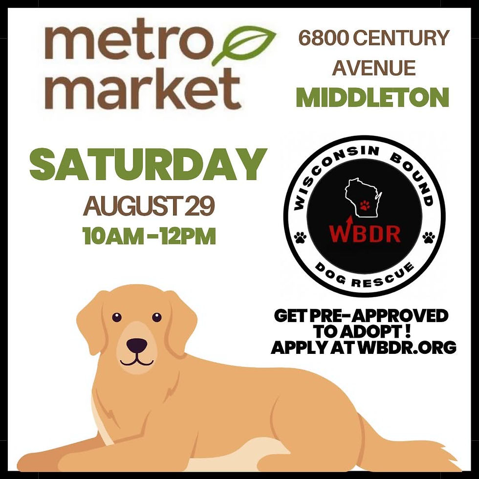 Metro Market Event