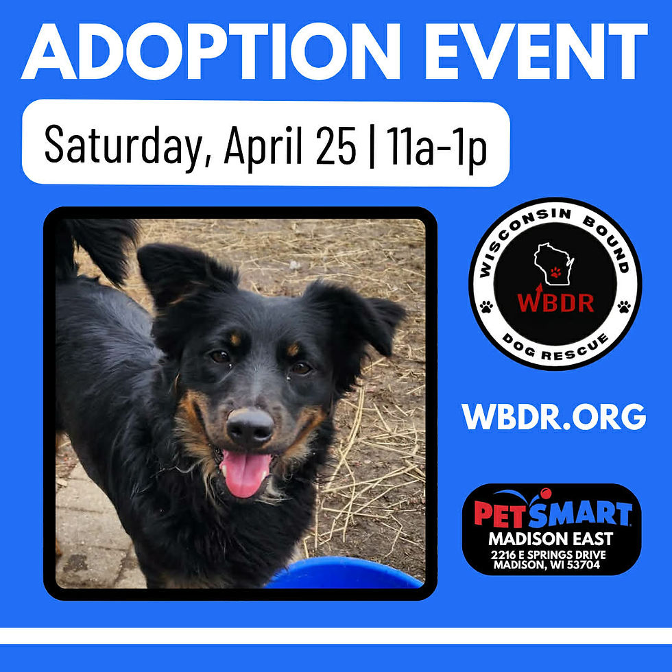 PetSmart Adoption Event