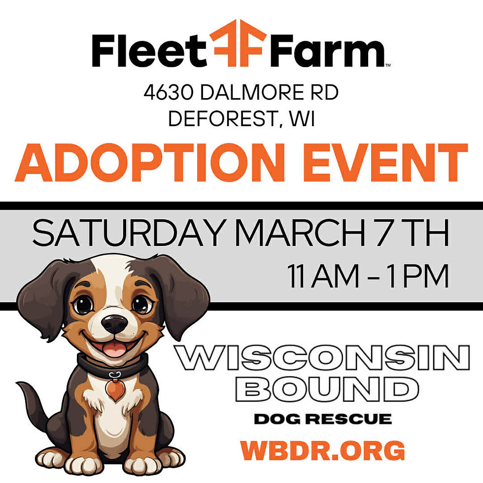Fleet Farm Adoption Event