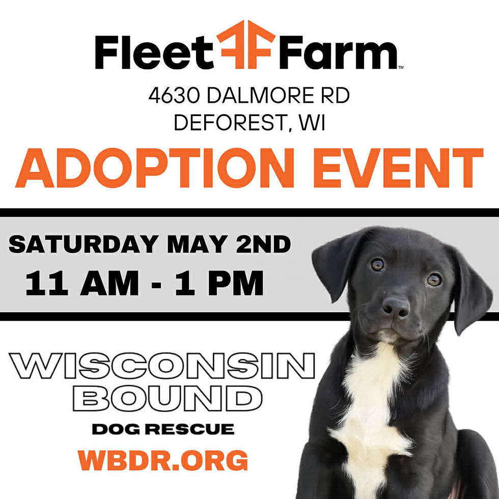 Fleet Farm Adoption Event