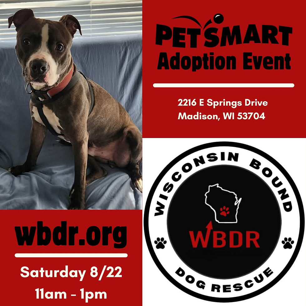PetSmart Adoption Event