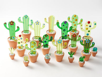 Haywire cactus.jpeg
