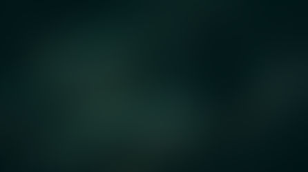 Nachhaltiger Weihnachtsbaum? Diese Alternativen gibt es.