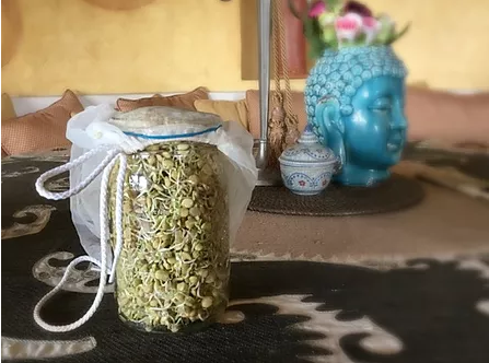 Easy to make sprouted lentils at home