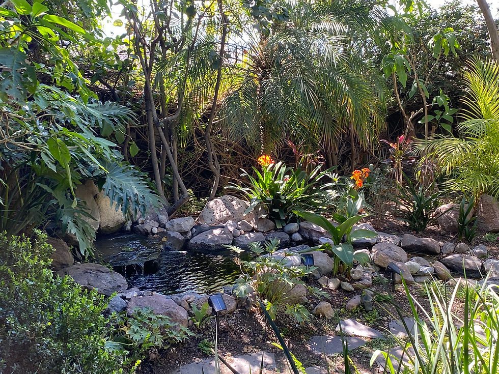 Zen Garden
