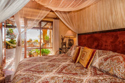 Super comfy canopy king bed