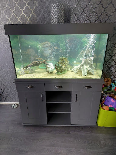 Grey fish tank