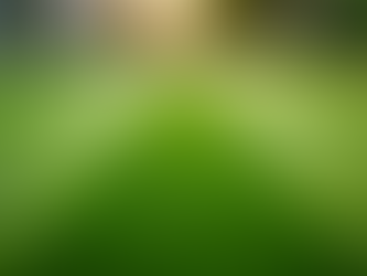 Mastering Lawn Mowing Techniques: Advanced Mowing Tips for a Perfect Lawn