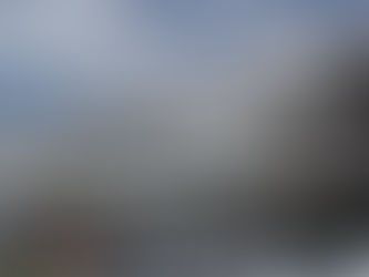 Niš postao v.d. grad