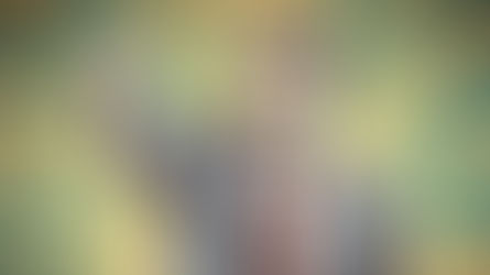 Izvrnuta torta: Političari koji uličarskim rečnikom dele društvo, optužuju druge za to