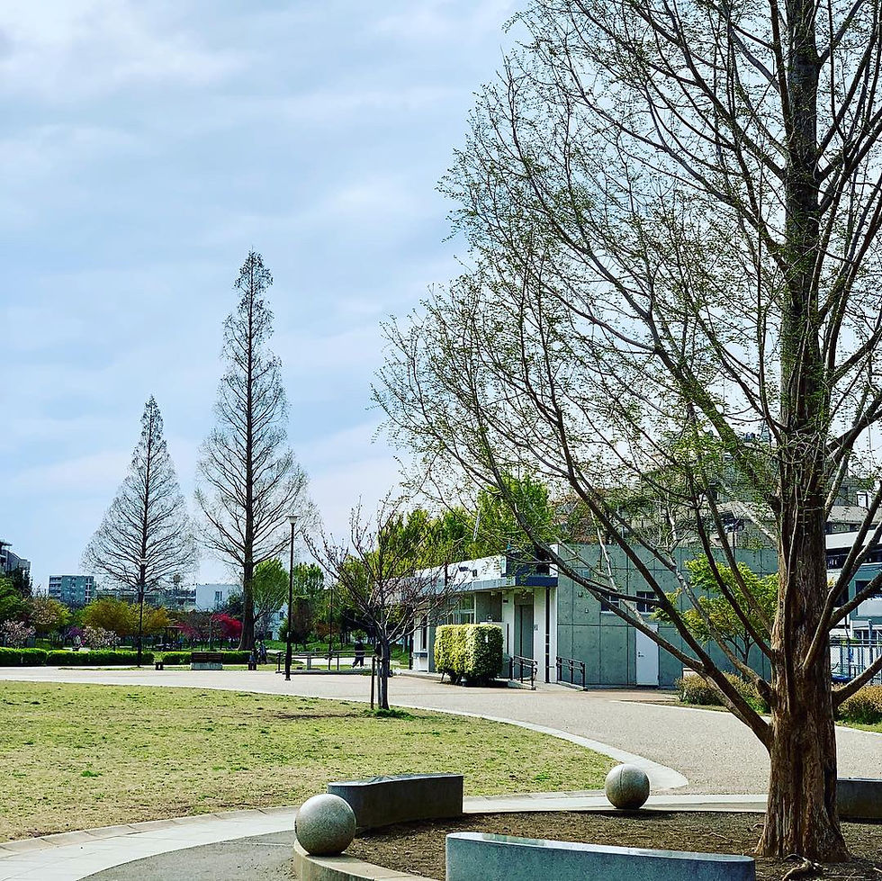 桃井三丁目はらっぱ公園