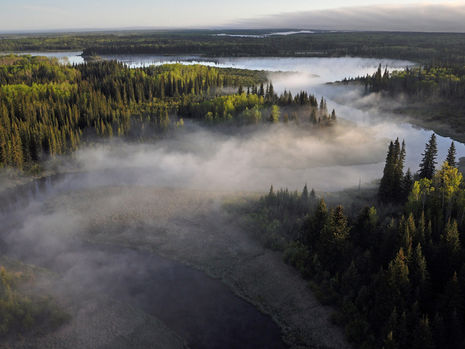 Spring Regeneration: Nurturing New Ideas with Pilot Projects Collaborative