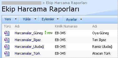 Microsoft InfoPath - Formlar ve merkezi bir konumda form şablonlarını yönetme