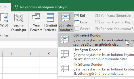 Microsoft Office Excel - Satırları ve sütunları kilitlemek için bölmeleri dondurma