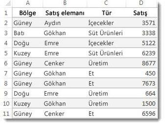 Microsoft Office Excel - Birden çok koşula dayalı olarak değerleri toplama