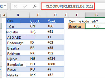 Microsoft Office Excel - ÇAPRAZARA işlevi