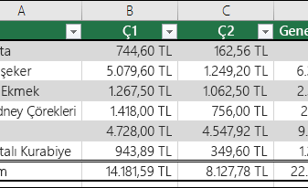 Microsoft Office Excel - Excel tablolarına genel bakış