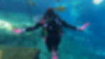 GX011608_1767314214527(1).jpg