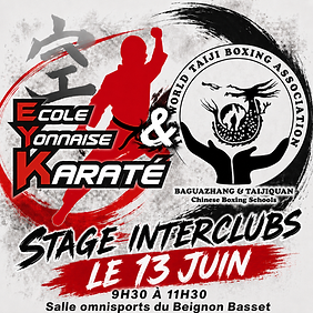 Affiche Karaté Tajii.png