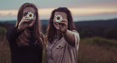 Daisy Sunset_edited.jpg