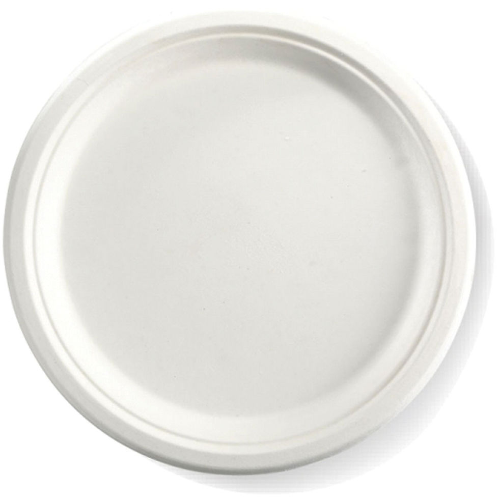 10″ Sugarcane Fibre White Plate (500/cs)