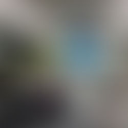 Architekt, Pilot oder Chirurg? – Das Berufekarussell am OG dreht sich wieder