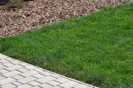 , ландшафтный дизайн участка, dachnyj landshaftnyj dizajn, dachnyj uchastok, садовый дизай