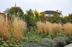 Garden near See Odessa Ukraine (169).jpg