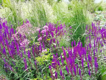 , ландшафтный дизайн участка, dachnyj landshaftnyj dizajn, dachnyj uchastok, садовый дизай