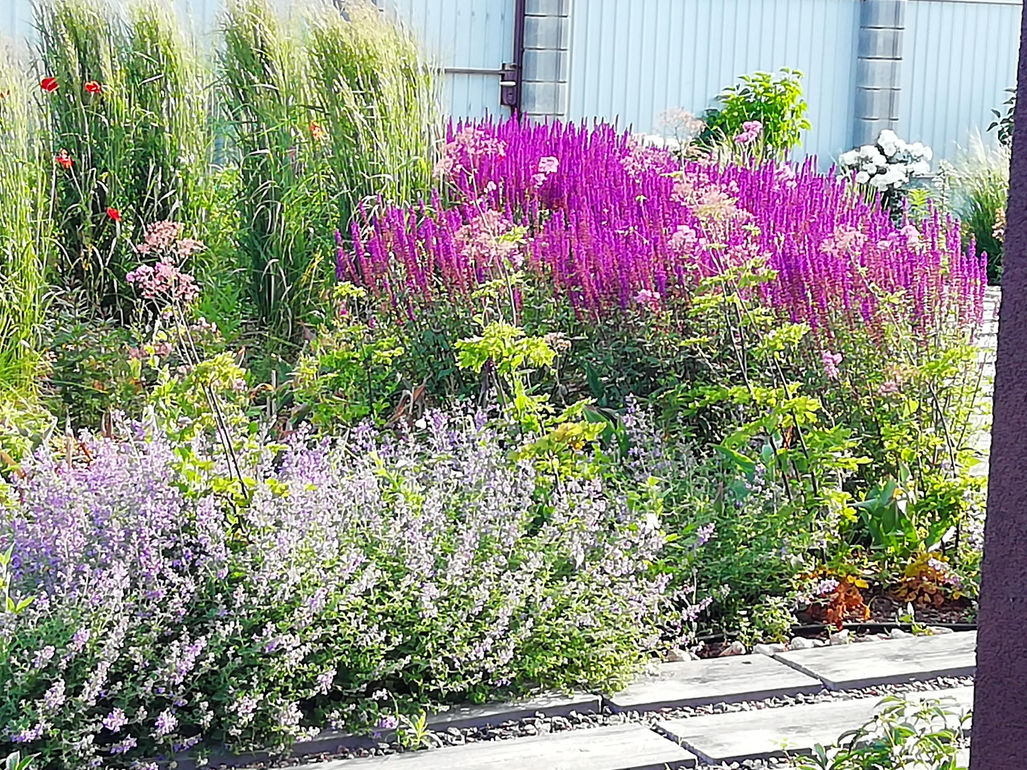 , ландшафтный дизайн участка, dachnyj landshaftnyj dizajn, dachnyj uchastok, садовый дизай