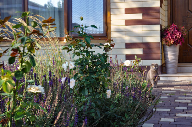 landscape small garden (22).jpg