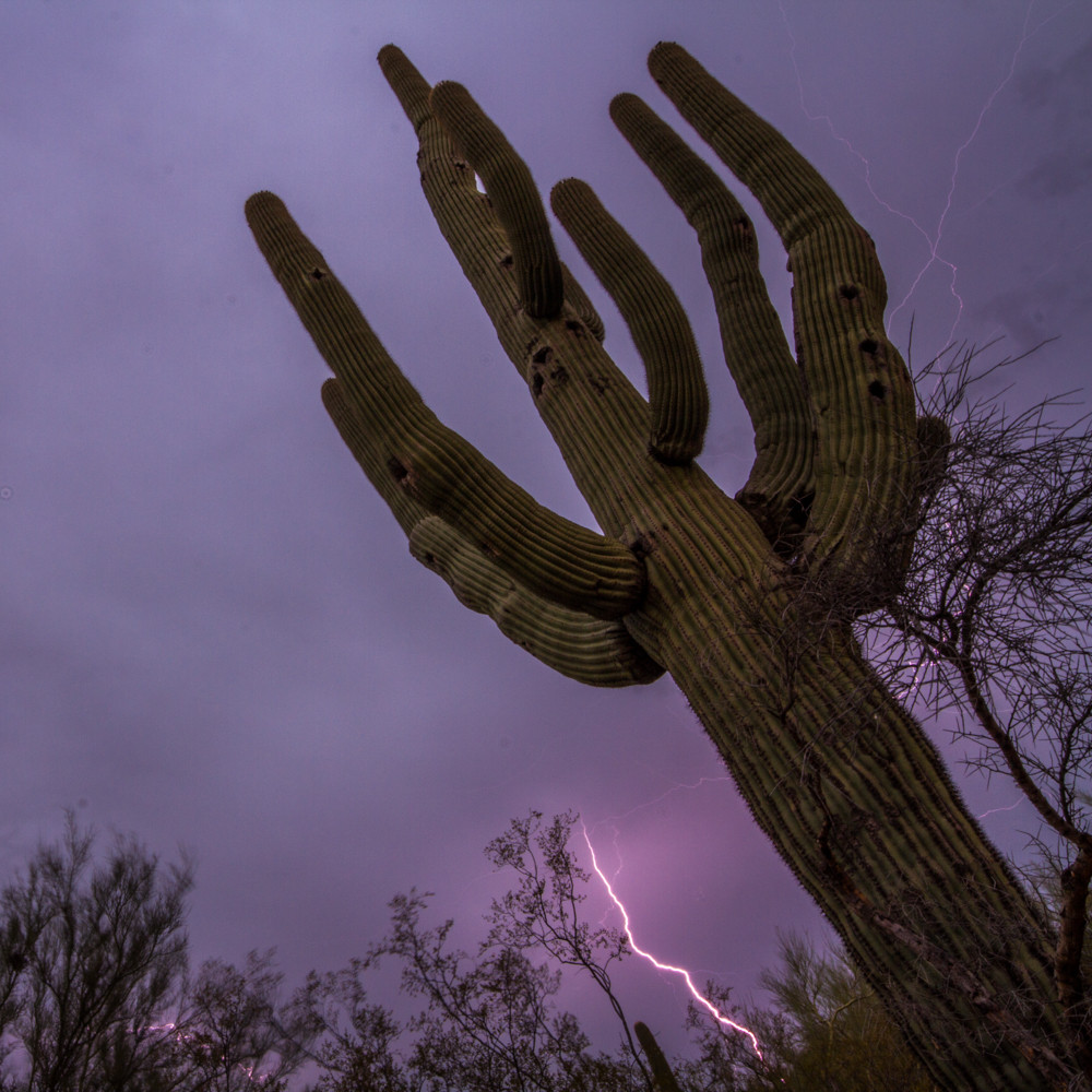 How to Take Lightning Photos