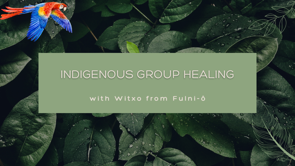 SACRED PAJELANÇA: indigenous group healing