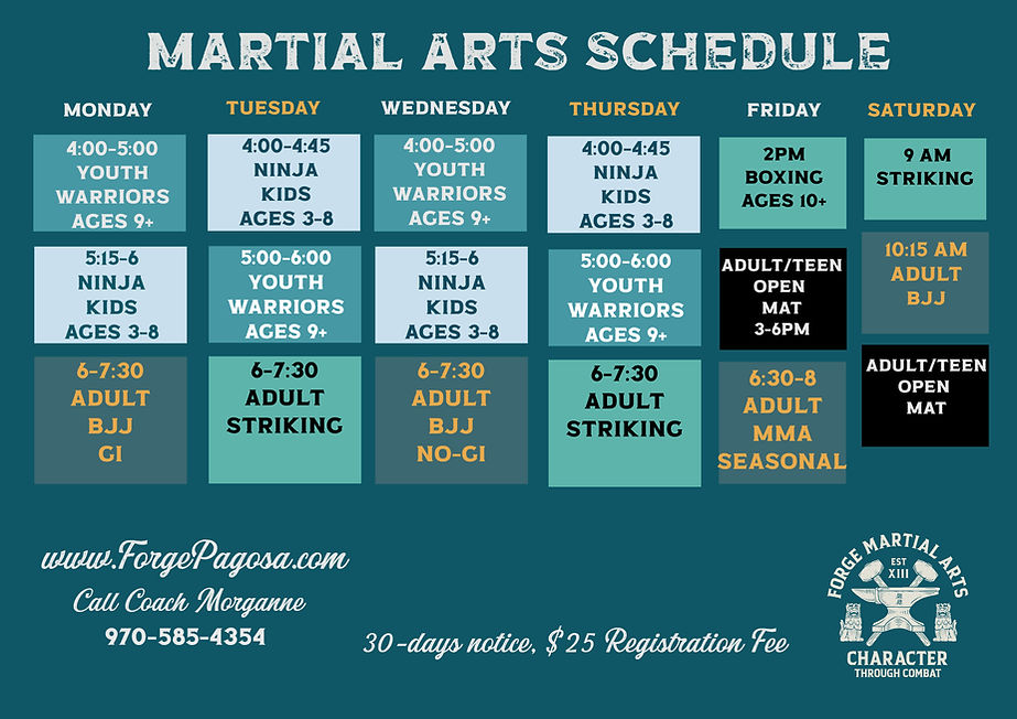 MMA Schedule.jpg