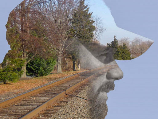 Psychology of a Photographer - Series 1